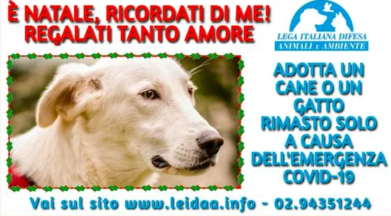 Covid, via alle adozioni per gli orfani